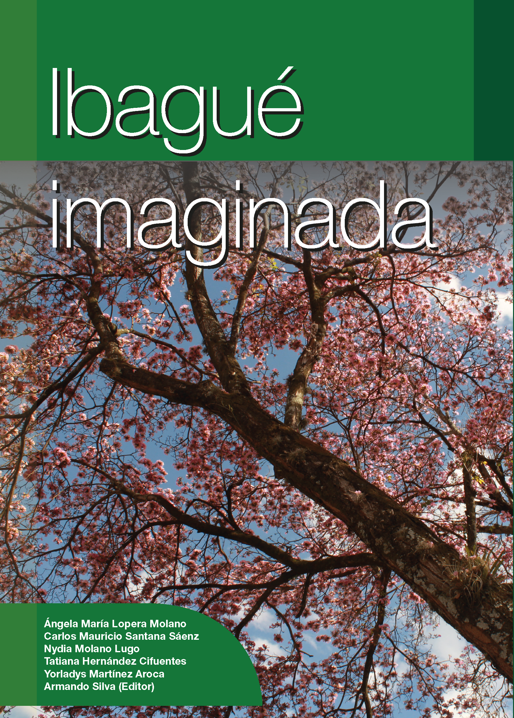Cover of Ibagué imaginada